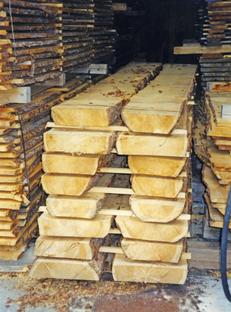 Auktion Zirbensägerundholz Los 11 - Image