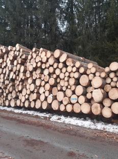 Auktion Sägerundholz aus dem Forstrevier St. Martin - Image